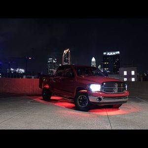 Meet your Posher, Robin